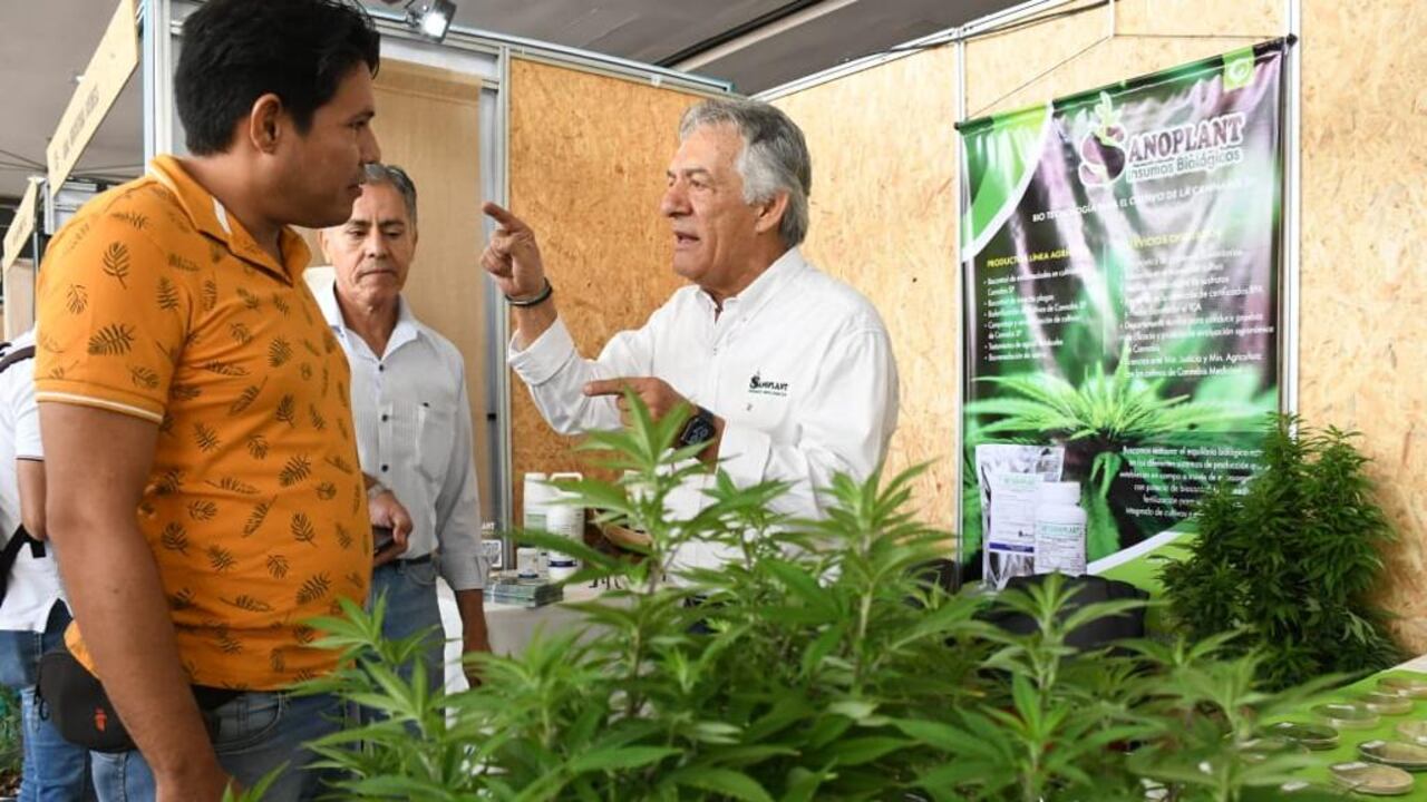 La Cumbre cuenta con una feria comercial con presencia de empresas y emprendimientos de varias regiones del país.