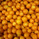 UCHUVA
FRUTAS
MERCADO
PLAZA DE MERCADO
PLAZA DE MERCADO DE PALOQUEMAO
VERDURAS
BOGOTA 11 FEBRERO 2014
FOTO DANIEL REINA ROMERO
REVISTA SEMANA