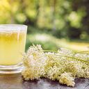 Fresh Meadowsweet, Filipendula ulmaria flowers tea infusion in tea cup and fresh picked flower next to it. Back lit.