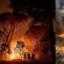 España enfrenta el mayor incendio forestal de su historia reciente.