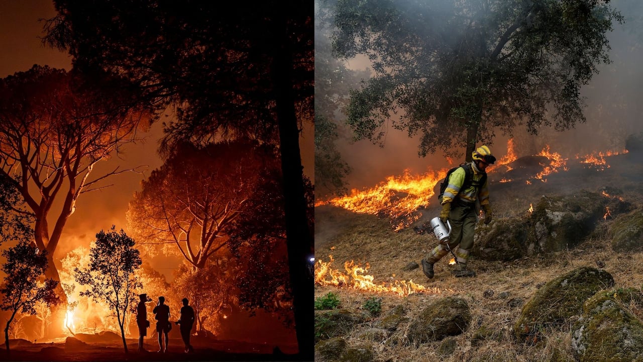 España enfrenta el mayor incendio forestal de su historia reciente.