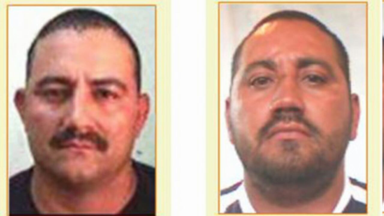 Los hermanos Dairo y Juan de Dios Úsuga militaron en el EPL, luego pasaron a los paramilitares y hoy son los jefes de Los Urabeños.