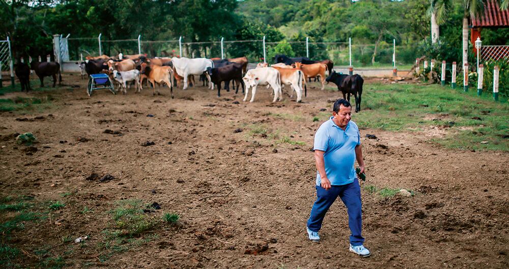   Luis Alberto Pérez es campesino e ingeniero agrónomo. Vende huevos, cerdos, queso, pescado y chorizos ahumados.  
