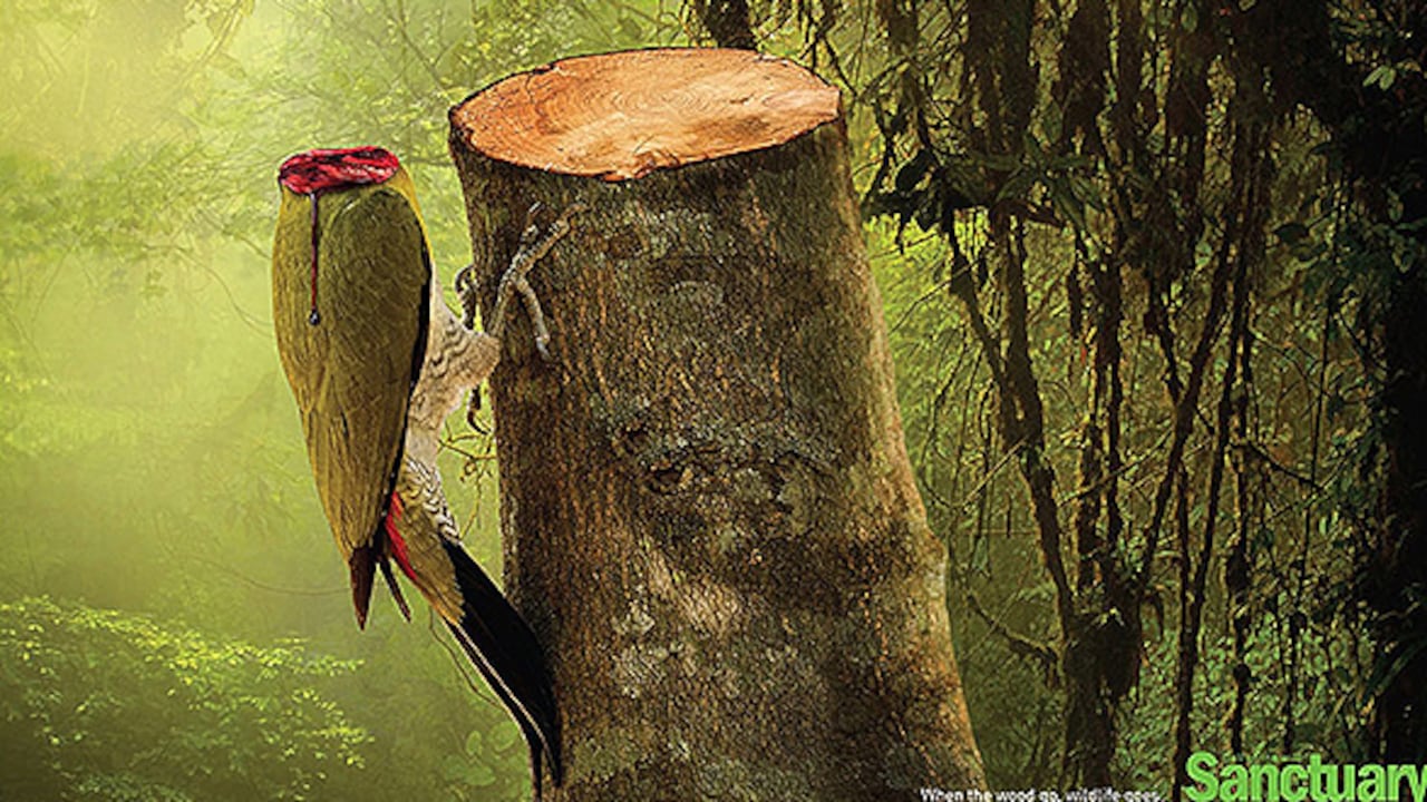 Cortesía: Sanctuary Magazine Asia.