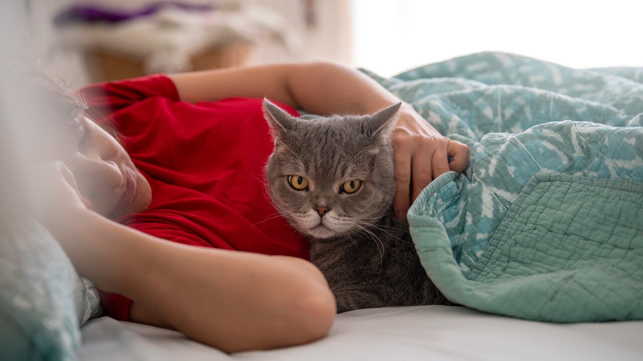 Dormir con gatos