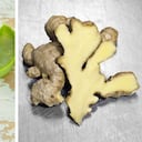 El aloe vera y el jengibre ayuda a tratar problemas cardiovasculares y gastrointestinales. Foto: Getty Images. Montaje SEMANA.