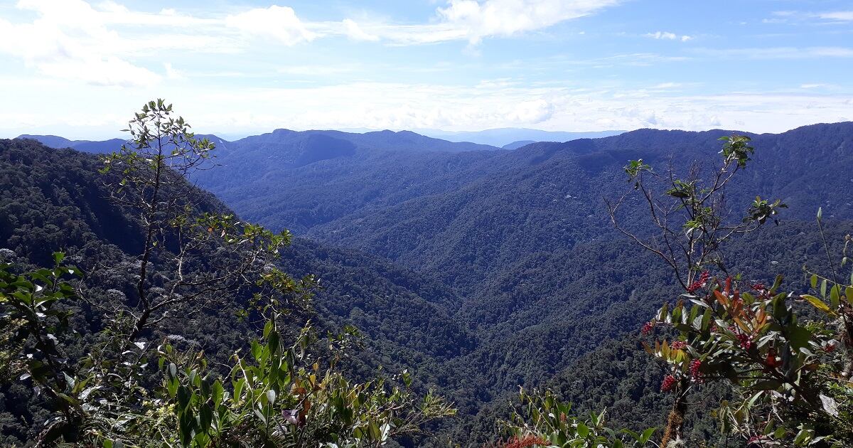 Biodiversidad de Isnos, en el Huila