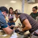 El ave fue atacada con arma de fuego en la vereda Guacas