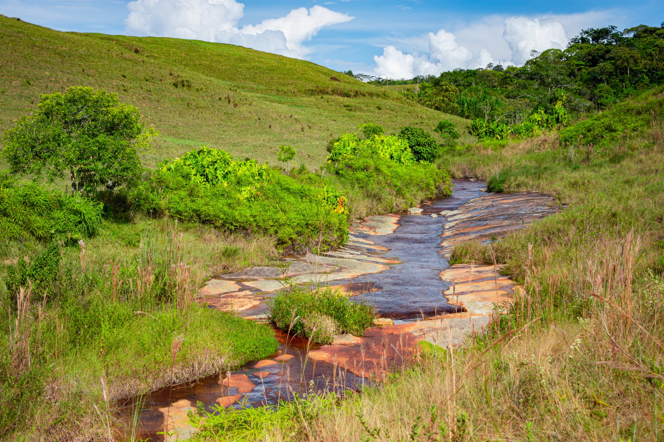 Las Gachas, Santander