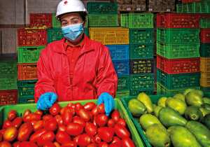 Banco de Alimentos de Bogotá.
Foto Mauricio Mendoza