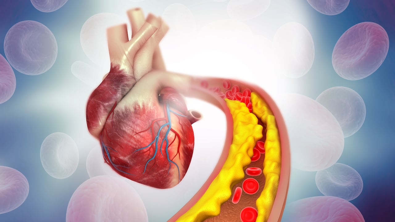 El colesterol no genera complicaciones cuando sus niveles se mantienen en un límite indicado.