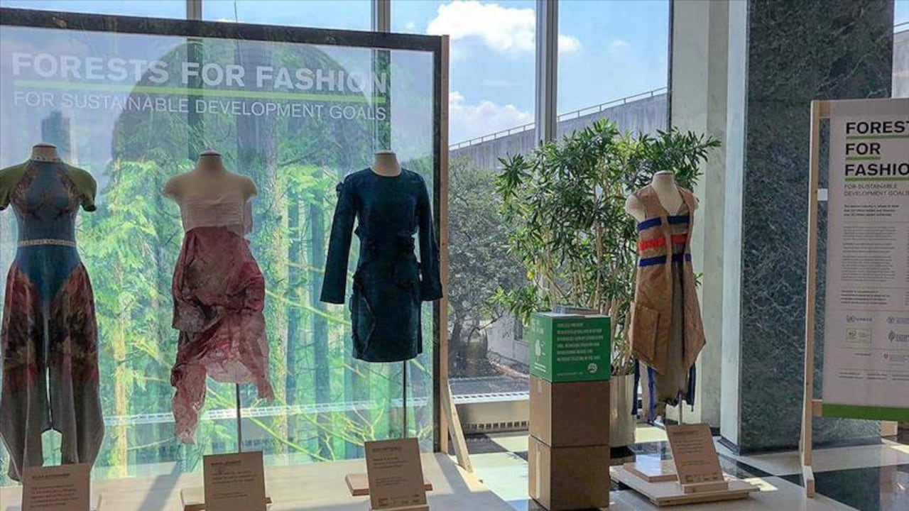 Los productos de origen forestal se producen con madera, papel, corcho, setas, resinas y esencias. Foto: Fatima Mendez/ONU vía Anadolu