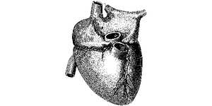 A favor del Día de San Valentín