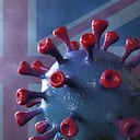 Actualmente en Londres se encuentran hospitalizadas 3.024 personas, un 58,8 % más que el martes pasado.