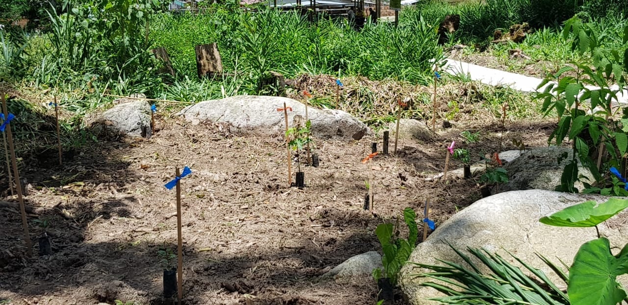 Bosques de paz en Mocoa