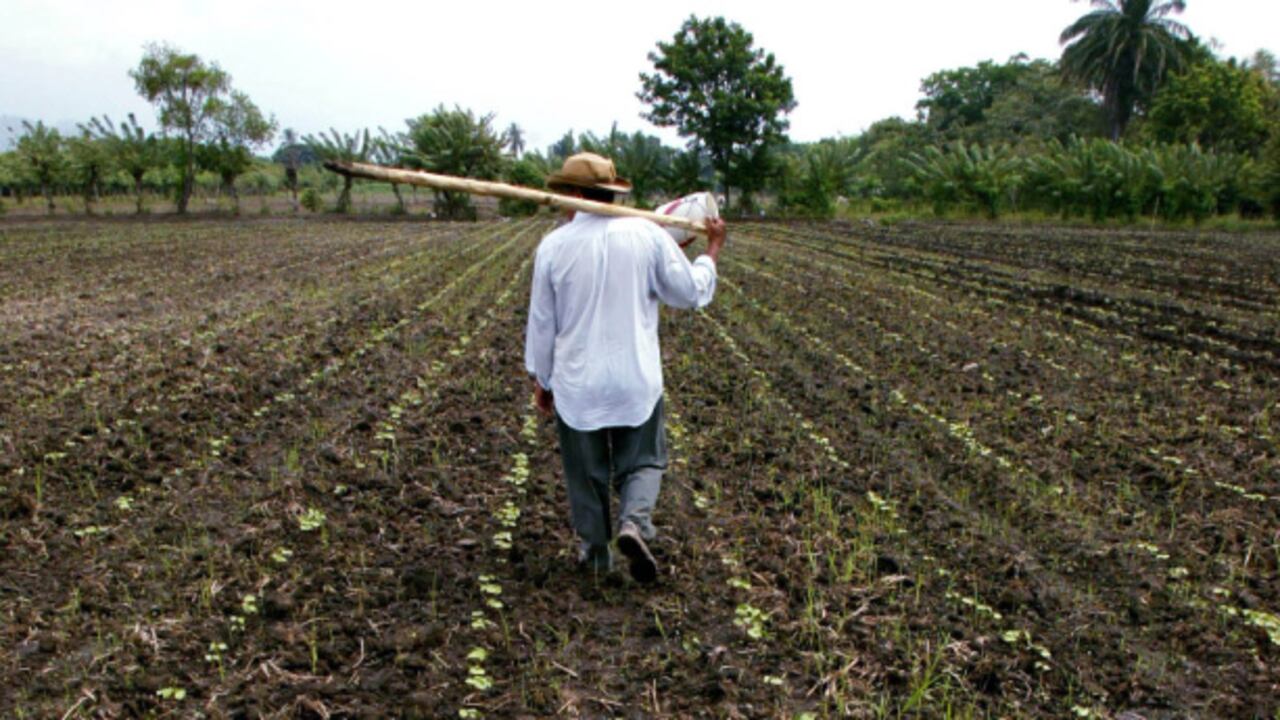 El país está en mora de garantizar el futuro de los pequeños campesinos frente al latifundio, los grandes cultivos, la minería y la ganadería extensiva. La pregunta es si la solución es la que plantean las Farc .