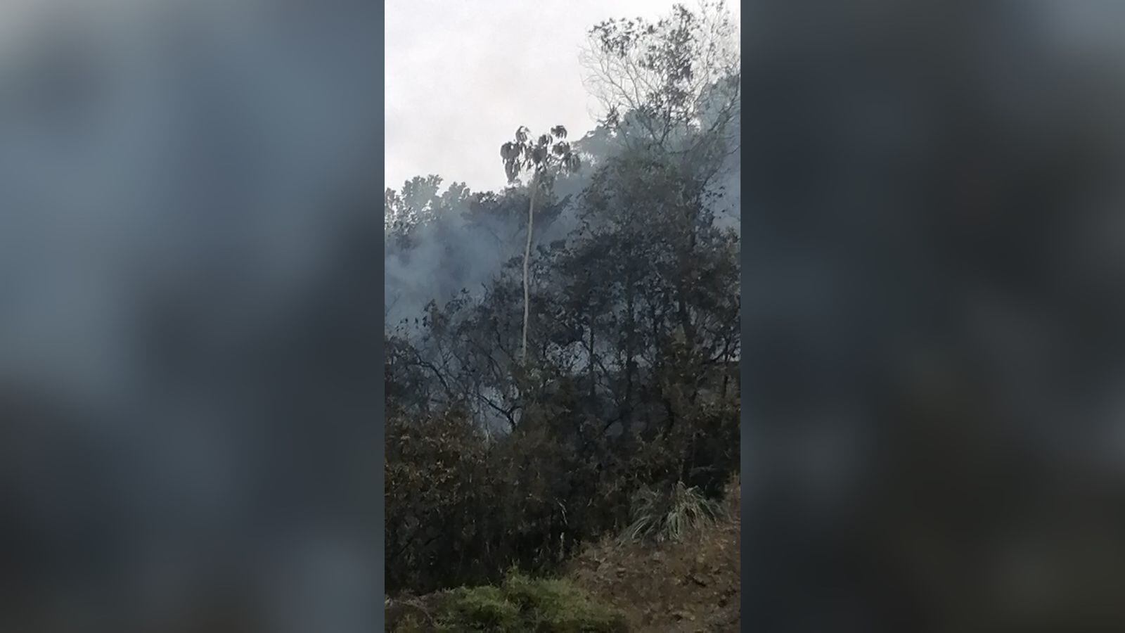 Dos hectáreas del cerro resultaron afectadas.