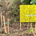 Desde la alcaldía de Puerto Colombia aseguran que el predio de propiedad de la Gobernación es colindante al predio objeto de denuncia, y no está siendo perturbado.