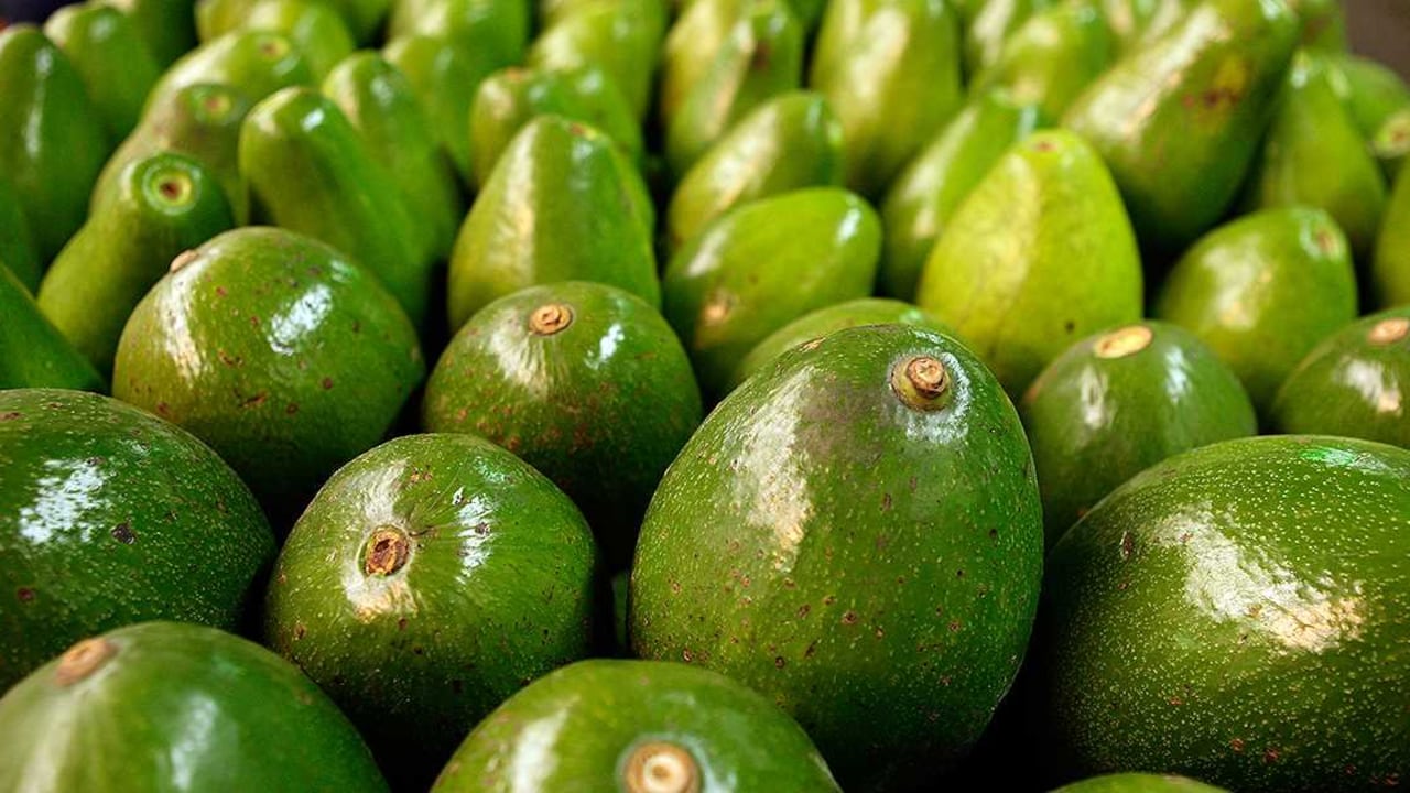 Foto: Archivo SEMANA