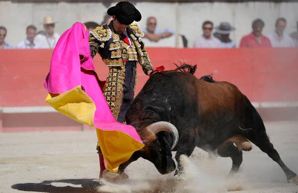 Histórica tarde de José Tomás en Nimes. Lidió seis toros y triunfó con cada uno de ellos.