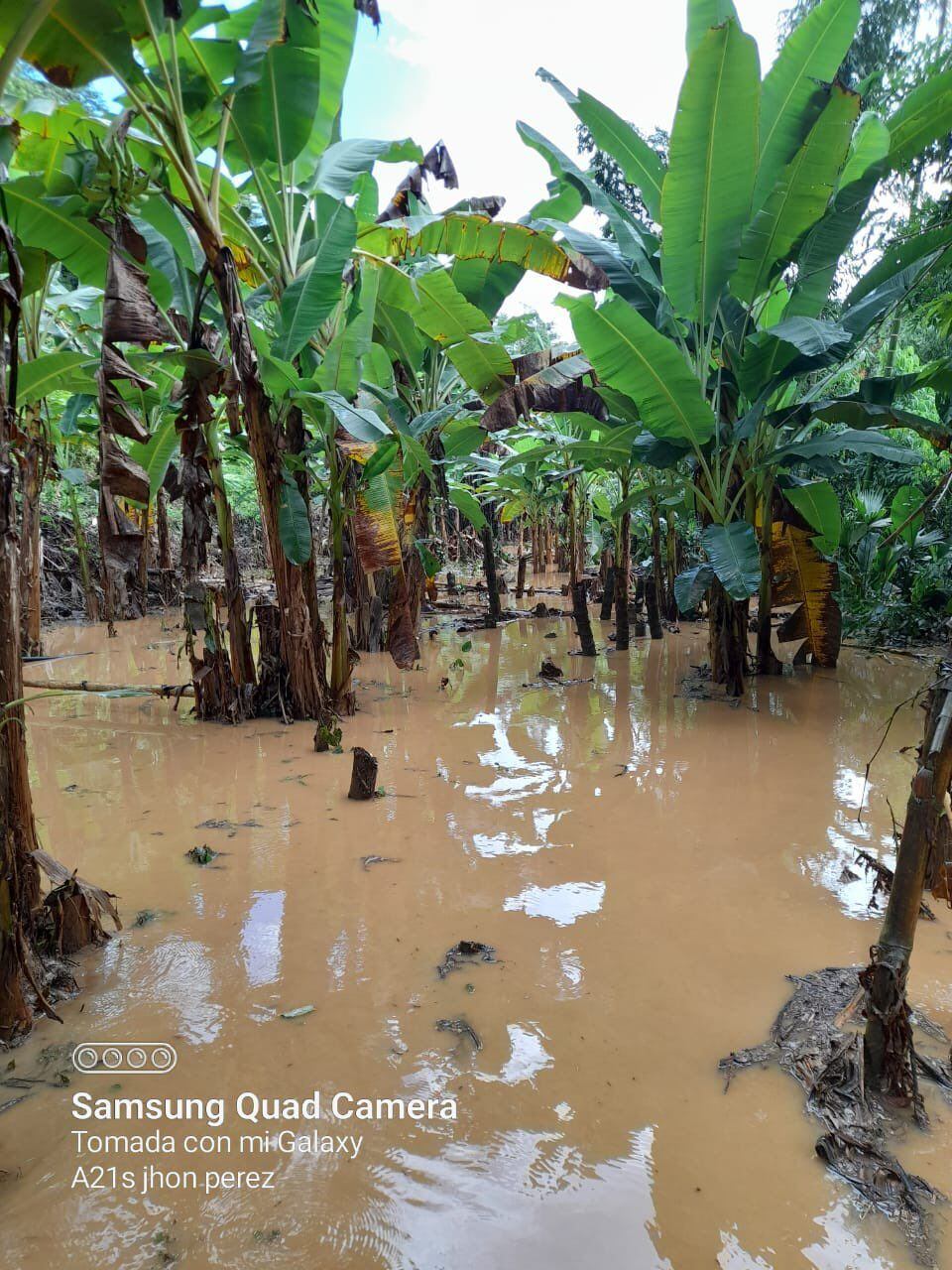 Fuertes lluvias causaron inundaciones en el oriente Antioqueño.