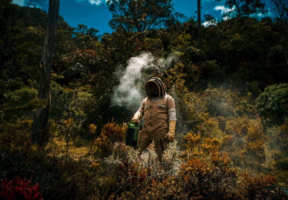 Ruta de la Miel en la localidad de Usme, en el sur de Bogotá.