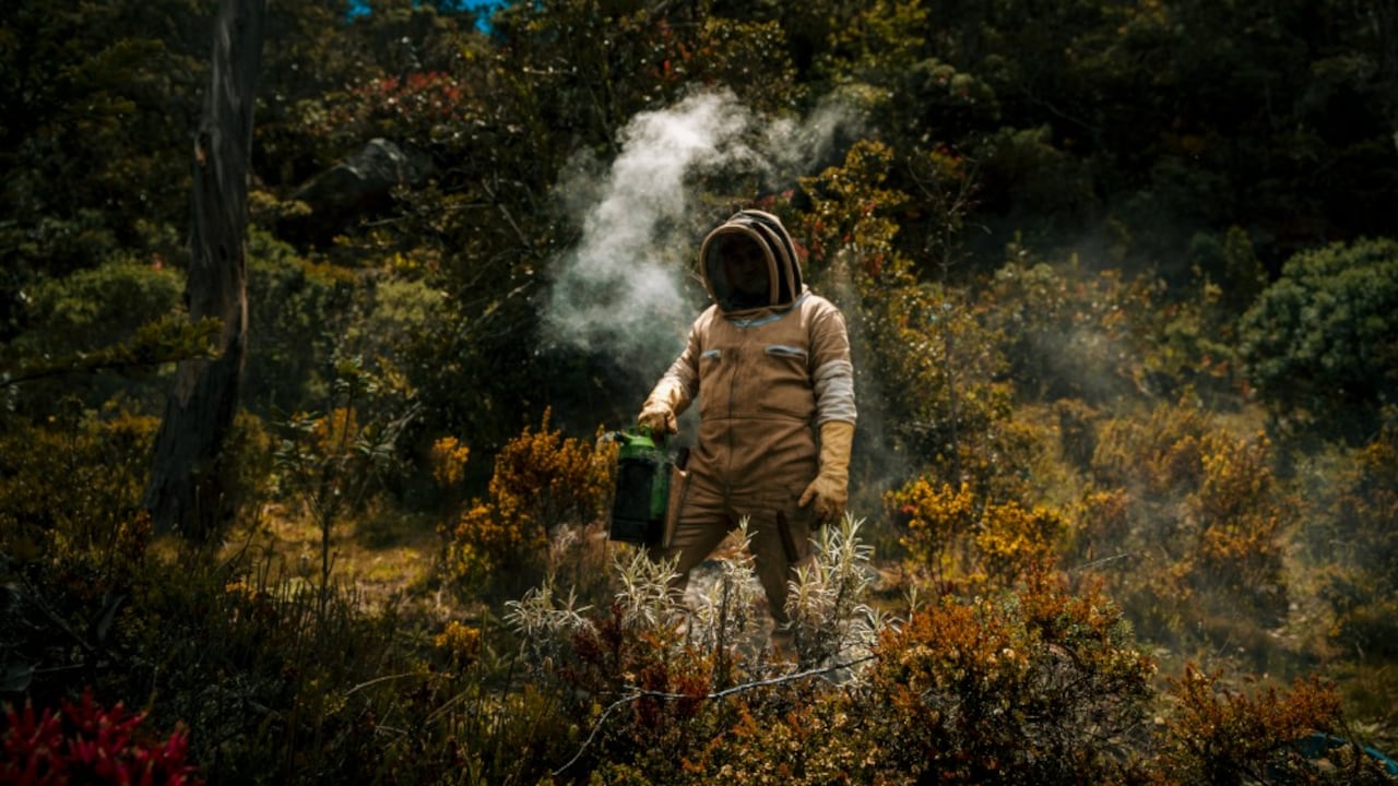 Ruta de la Miel en la localidad de Usme, en el sur de Bogotá.
