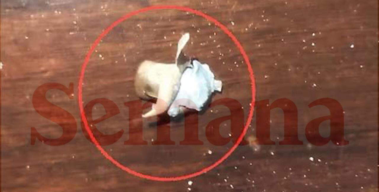 Homicidio del esmeraldero Juan Sebastián Aguilar. Se trata de un 7.62, un poderoso calibre que fue prohibido por el Derecho Internacional Humanitario por su letalidad.