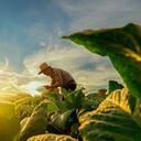 En el negocio de préstamos sostenibles, BBVA ha sido pionero e impulsor fundamental.