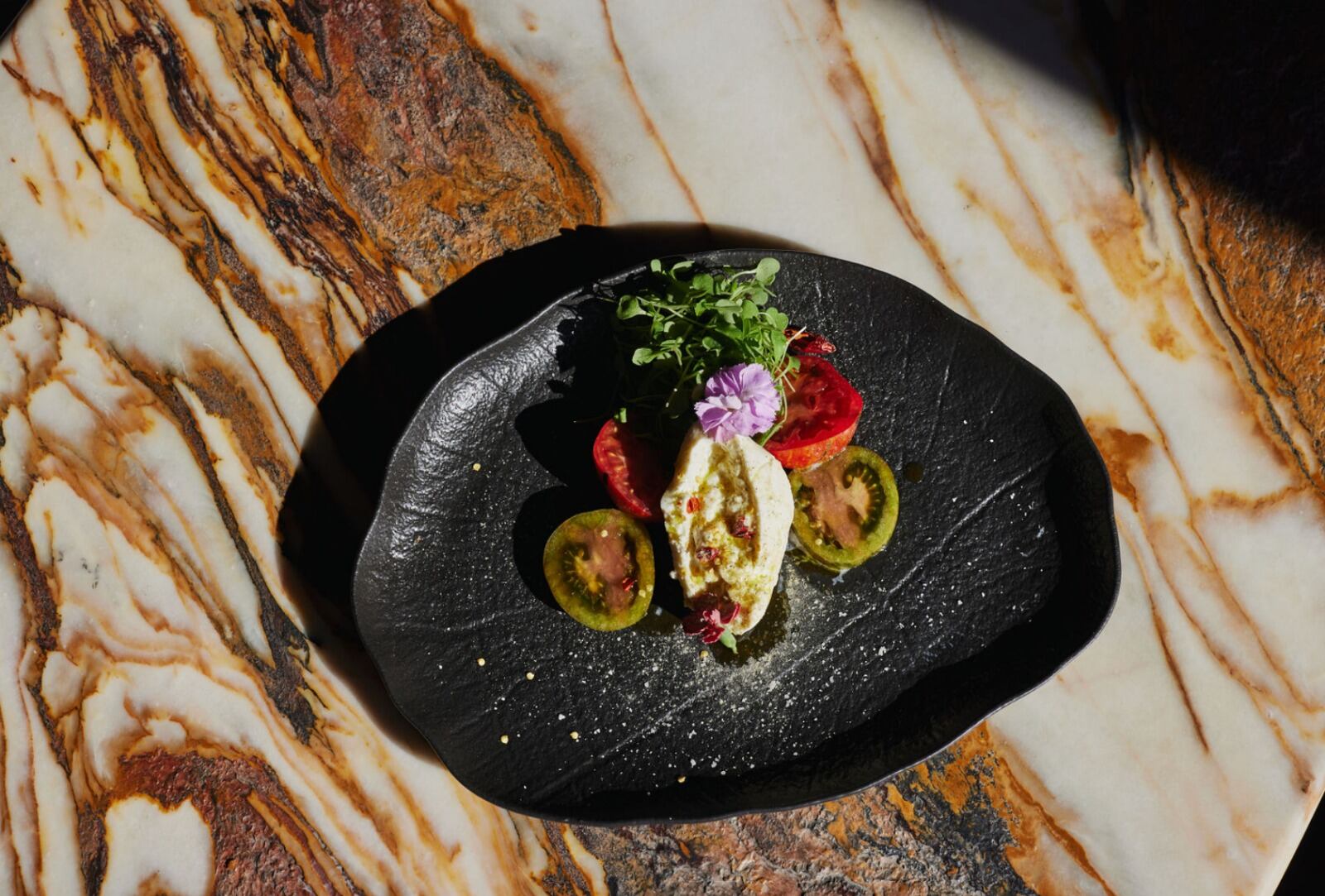 plato de Charles Webb