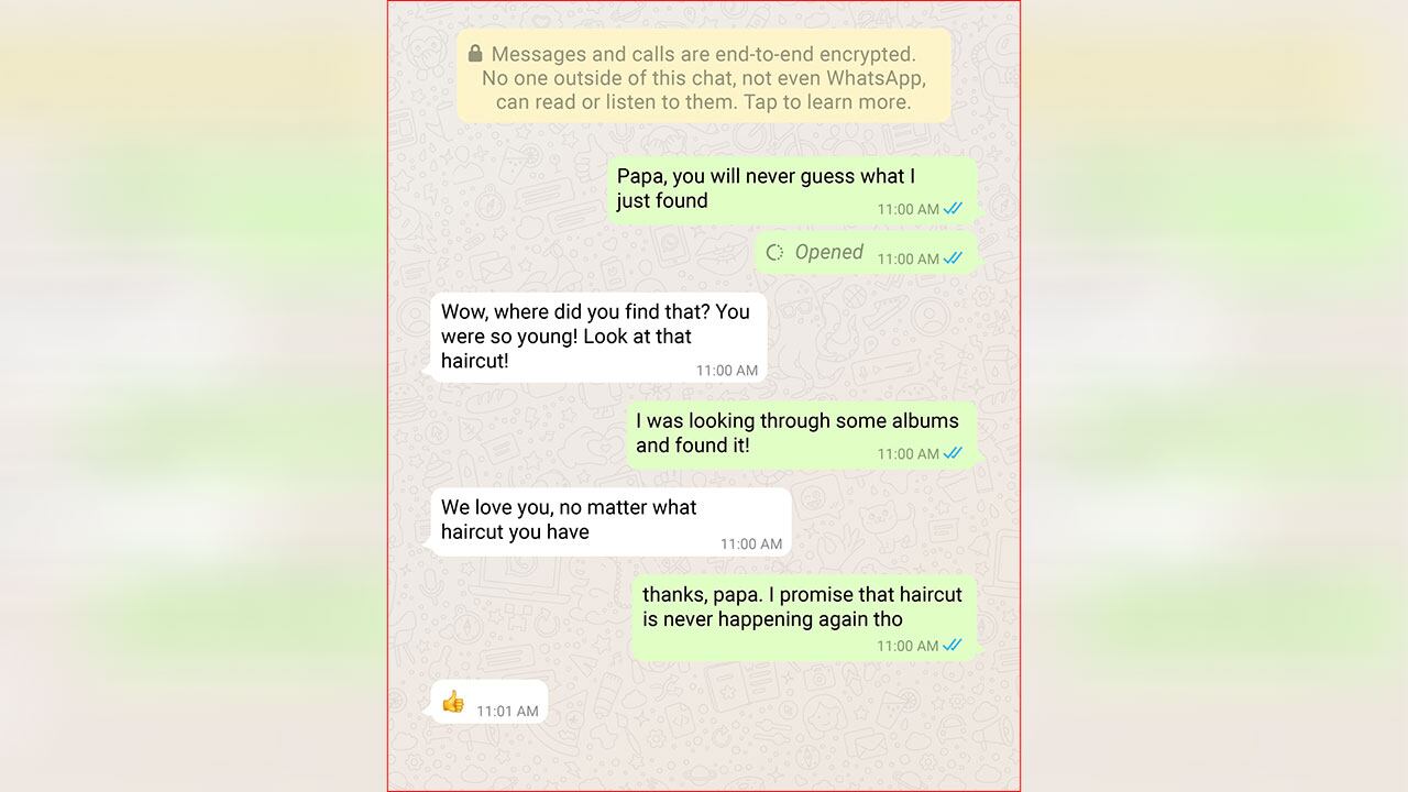 Los chats de WhatsApp cuentan con un cifrado de extremo a extremo.