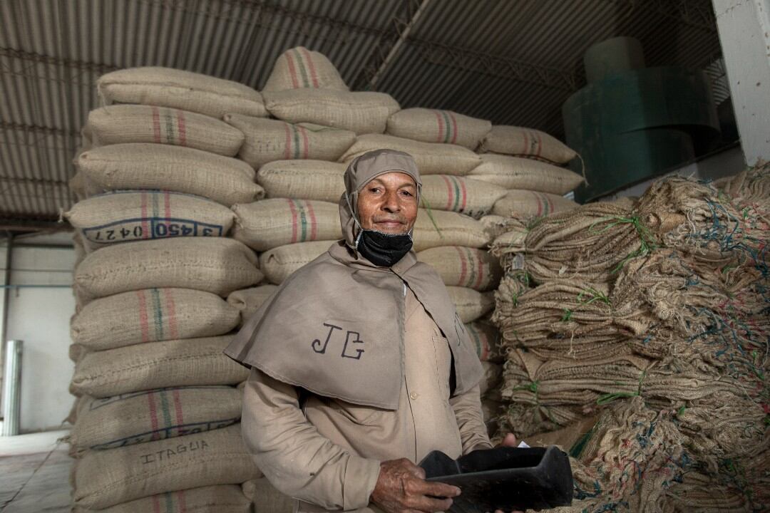 Organización de alimentos en una central mayorista