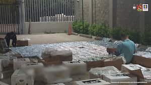 Caen dos toneladas de “narco banano” en vías de Bolívar. La droga tenía como puerto de partida Cartagena y la esperaban narcotraficantes en los Países Bajos.