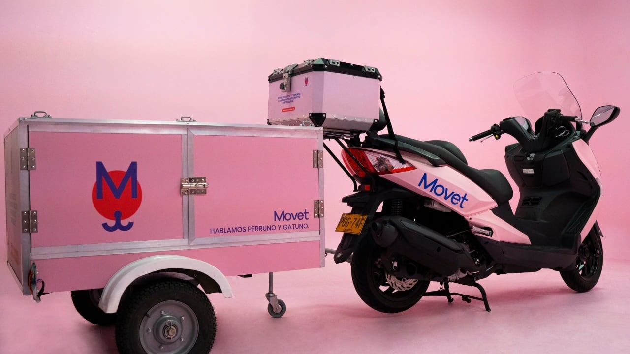 Servicio a domicilio para perros y gatos