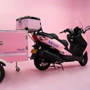 Servicio a domicilio para perros y gatos