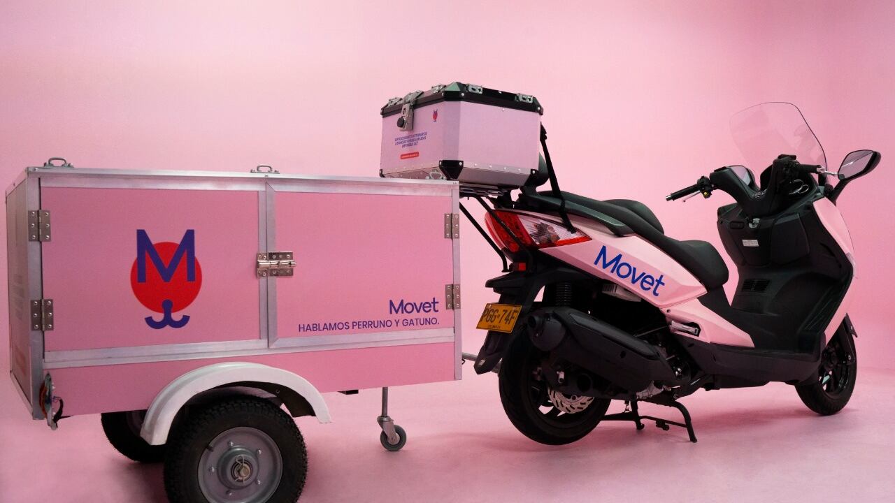 Servicio a domicilio para perros y gatos