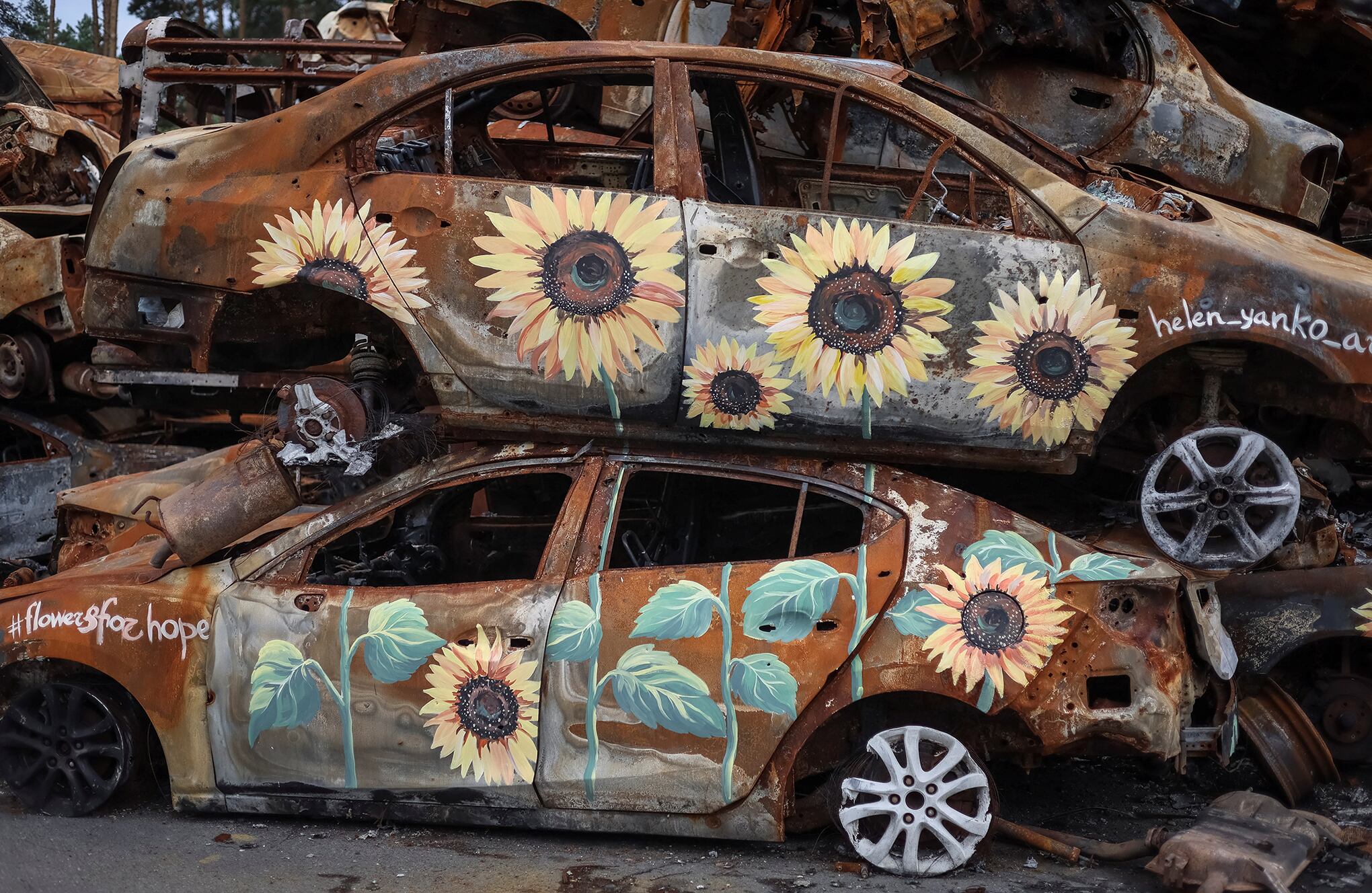 En imágenes : Artistas pintan girasoles sobre restos de guerra en Ucrania