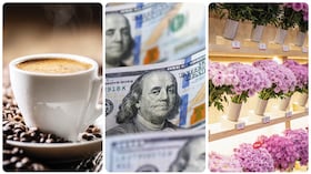 La caída en el precio del dólar ha incrementado el consumo de importados y los productores nacionales advierten que eso no ayuda a que prospere la economía. Lo que se requiere es mejorar la capacidad de producción, exportar y generar empleo.