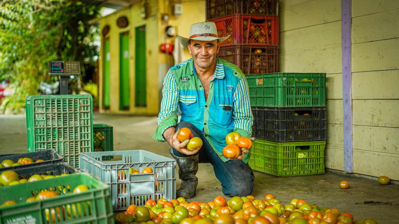 La convocatoria busca transformar el campo colombiano.