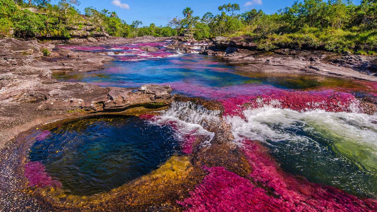 Caño Cristales, en el departamento del Meta, es considerado uno de los ríos más lindos del mundo. Sus colores, lo hacen único.