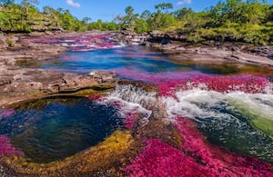 Caño Cristales, en el departamento del Meta, es considerado uno de los ríos más lindos del mundo. Sus colores, lo hacen único.