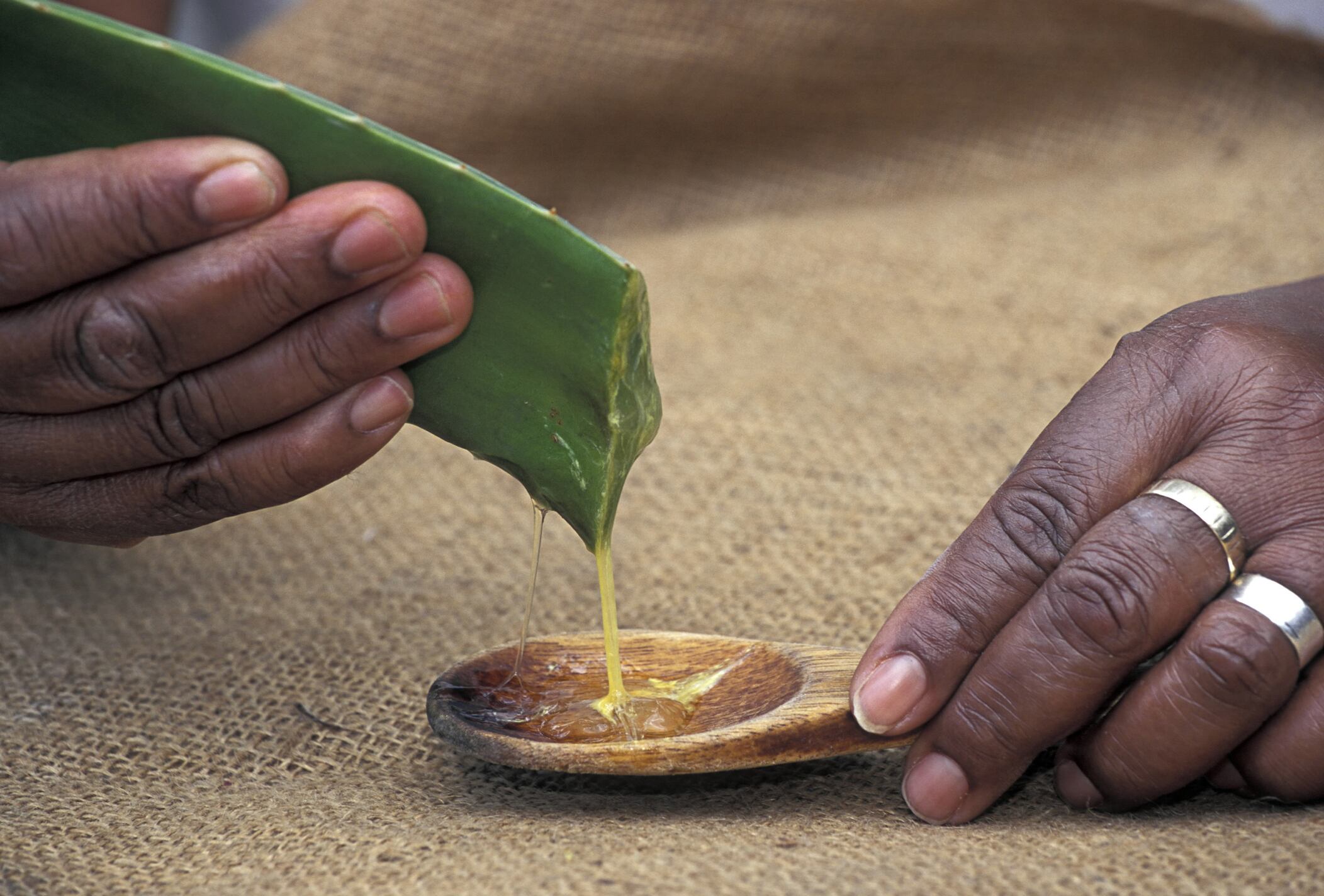 Aloe vera (Aloe barbadensis). Gel like sap high in pectin. Used in cosmetics & pharmaceuticals.