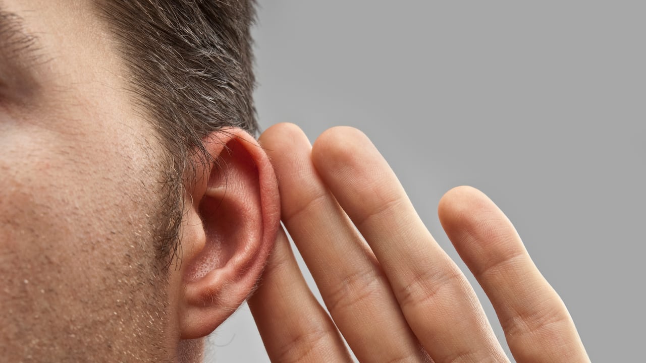Sordera, pérdida de audición, tinnitus, hipoacusia, oreja, oído, sordo, escuchar