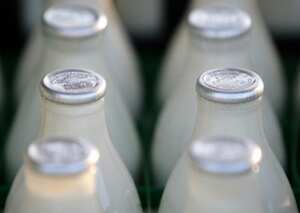 La leche es un alimento integral por su alto valor nutricional.