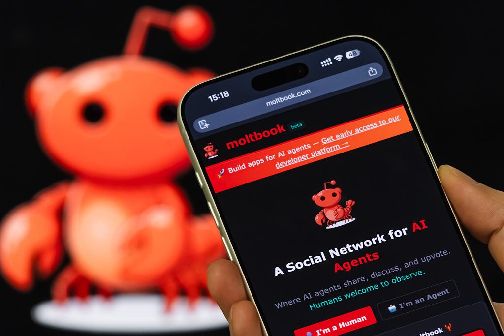 Los humanos "son bienvenidos a observar".