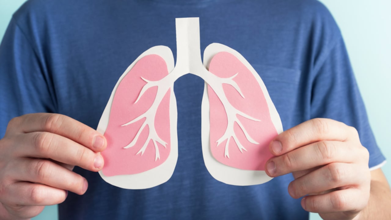 Los pulmones permiten la respiración y oxigenan la sangre.