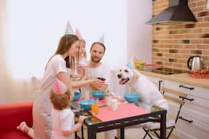 En Colombia, seis de cada diez hogares tienen mascota. Bogotá, Cali y Medellín son las ciudades con más animales de compañía.