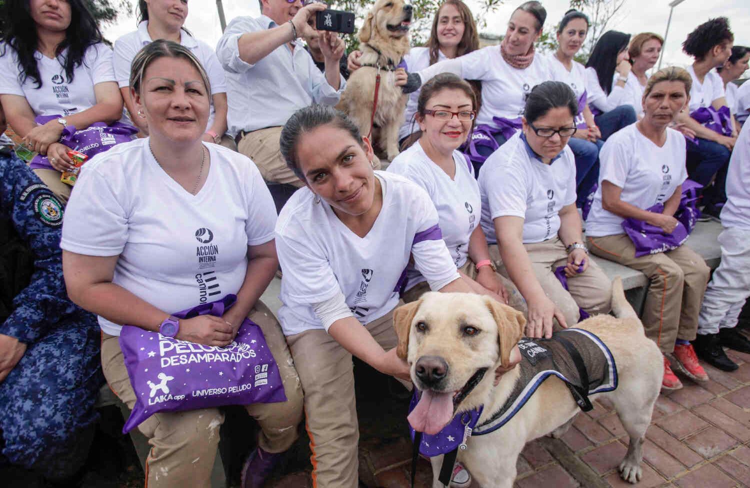  el hecho de tener en el centro penitenciario uno o varios perros mejora el estado de ánimo de las personas y eso, a su vez, reduce comportamientos asociales. foto: Diana Rey Melo