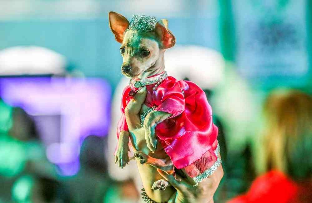 Foto: Carlos Julio Martínez / SEMANA