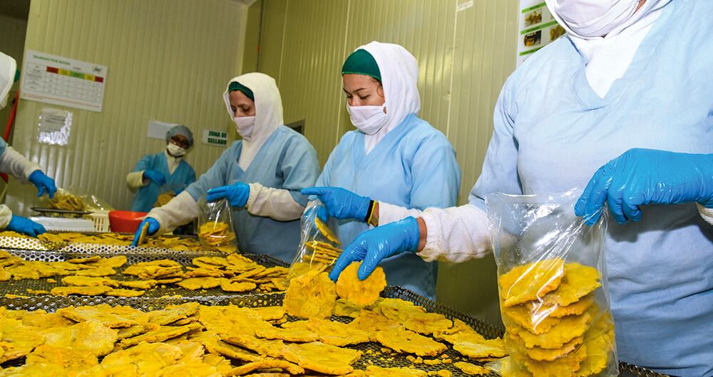 Congelar alimentos es cada vez más tecnificado, con calidad e inocuidad. El canal institucional era el mayor comprador, pero ahora entraron con fuerza al hogar.